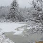 Winter and Ice on New Boston Road by Betsy Kruse - January 2024 photo