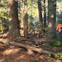 October 2024: Scout Troop 120 clears Deerfield Road Town Forest trails 