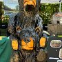 Many thanks to Leon Austin, a wonderful wood carver, who carved and donated the bear. 