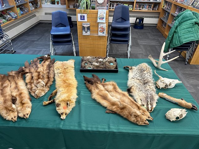 May 2025: Agricultural Day at Moore School