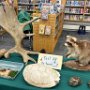 May 2025: Agricultural Day at Moore School