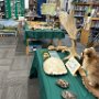 May 2025: Agricultural Day at Moore School