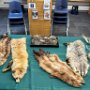 May 2025: Agricultural Day at Moore School