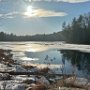 Pond by Judi Lindsey - December 2025 Photo