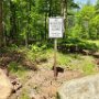May 2025 - Flint Road: The "No Motorized Vehicles Allowed" sign is relocated just outside and in the rear left corner of the new parking area.