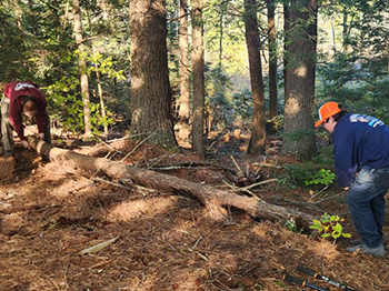 Candia Scout Troop 120 clearing trails at Deerfield Road Town Forest.