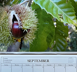 CCC Calendar 2025 - September 2025 Photo