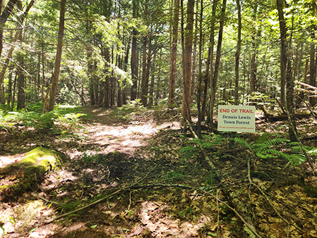 End of Trail sign posted on Dennis Lewis Town Forest