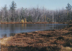 Kinnicum Pond